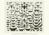 Planche Papillons 1 Poster Print - BRAUN Studio # VARPDXR4341