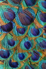 Pattern in peacock feathers Poster Print - Adam Jones # VARPDXNA02AJE1179