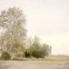 Countryside Poster Print - Kimberly Allen # VARPDXKASQ3254A