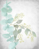 Eucalyptus and Leaves 2 Poster Print - Kimberly Allen # VARPDXKARC3142B