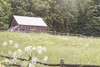 Summer Farm I Poster Print - Sue Schlabach # VARPDX79100