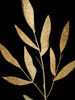 Plaster Leaves Gold 1 Poster Print - Allen Kimberly # VARPDXKARC3152A