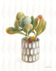 Desert Greenhouse XIV Poster Print - Danhui Nai # VARPDX79082
