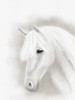 Majestic Horse Poster Print - Leah Straatsma # VARPDXLSRC624A
