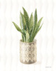 Desert Greenhouse XVI Poster Print - Danhui Nai # VARPDX79084