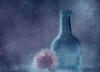 The Blue Bottle Poster Print - Delphine Devos # VARPDX876719