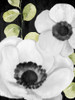 Anemone On Black 1 Poster Print - Kimberly Allen # VARPDXKARC3120A
