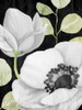 Anemone On Black 2 Poster Print - Kimberly Allen # VARPDXKARC3120B