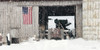 Winter at Patriotic Barn Poster Print - Lori Deiter # VARPDXLD2713