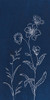 Blue Butterfly Garden II Poster Print - Danhui Nai # VARPDX73939