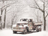 Christmas Tree Truck Poster Print - Lori Deiter # VARPDXLD2627