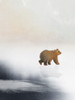 Bear On Ice Poster Print - Leah Straatsma # VARPDXLSRC540A