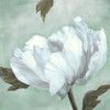 Precious Peony IV Poster Print - Marianne Broome # VARPDXBR062A