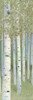 Green Forest II Poster Print - James Wiens # VARPDX73936