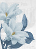 Magnolia Blues 1 Poster Print - Diane Stimson # VARPDXDSNRC006A