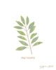 Stay Hopeful Poster Print - Annie LaPoint # VARPDXALP2198