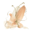 Butterfly Flower II Poster Print - Chris Paschke # VARPDX78867