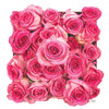 Roses a Plenty Poster Print - Donnie Quillen # VARPDXDQ280