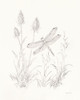Nature Sketchbook IV Poster Print - Danhui Nai # VARPDX75947