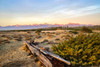 Italy-Riserva Naturale di Massaciuccoli San Rossore-protected coastal forest in Tuscan Poster Print - Michele Molinari # VARPDXEU16MME0509