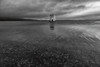 Windmill Island Poster Print - Aledanda # VARPDX75866