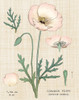 Poppy Chart Linen Poster Print - Sue Schlabach # VARPDX77690