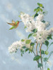 Hummingbird Spring I Soft Blue Poster Print - Danhui Nai # VARPDX75823