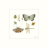 Green Fields XI Poster Print - Lisa Audit # VARPDXGRF11LA