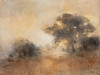 First Light II Poster Print - Julia Purinton # VARPDX78727