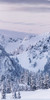 Tatoosh Range Triptych I Poster Print - Alan Majchrowicz # VARPDX75802