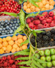 Italy-Venice A variety of berries on display and for sale in the Rialto Market Poster Print - Julie Eggers # VARPDXEU16JEG1483