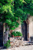 Italy-Tuscany Courtyard of an agriturismo near the hill town of Montalcino Poster Print - Julie Eggers # VARPDXEU16JEG1370