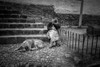 Portrait Of A Woman And Her Dog Poster Print - Wave Faber # VARPDX766323
