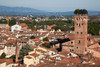 Italy-Tuscany-Lucca The rooftops of the historic center of Lucca and the Guinigi tower Poster Print - Julie Eggers # VARPDXEU16JEG1262