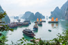 Bay-Vietnam-UNESCO World Heritage Site-Junks in the bay Poster Print - Tom Haseltine # VARPDXAS38THA0091