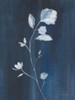 Simple Nature III Poster Print - Danhui Nai # VARPDX73194