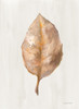 Fallen Leaf II Texture Poster Print - Danhui Nai # VARPDX74795
