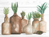 Botanical Terra Cotta I Poster Print - Cindy Jacobs # VARPDXCIN2848