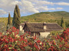 Colorful Countryside Poster Print - Alan Giana # VARPDXAG13
