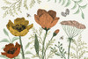 Springtime IV Warm Poster Print - Sara Zieve Miller # VARPDX70875