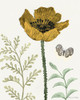 Springtime II Warm Poster Print - Sara Zieve Miller # VARPDX70873