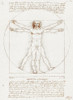 Vitruvian Man Poster Print - Leonardo da Vinci # VARPDX64128
