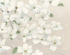 Dogwood Delight Cream Poster Print - James Wiens # VARPDX76360