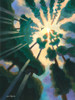 Fantasia of Summer Poster Print - John Wang # VARPDX82127