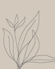 Neutral Lines I Poster Print - Carol Robinson # VARPDX47951