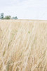 On the Edge III Poster Print - Elizabeth Urquhart # VARPDX74448
