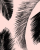 Bar� Palm Pattern on Blush I Poster Print - Patricia Pinto # VARPDX6140P