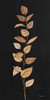 Farm Branch II on Black Poster Print - Silvia Vassileva # VARPDX78217