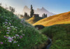 Flowery Morning Poster Print - Ales Krivec # VARPDX1930753