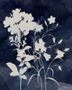 Indigo Botanical II Revisited Poster Print - Carol Robinson # VARPDX47116